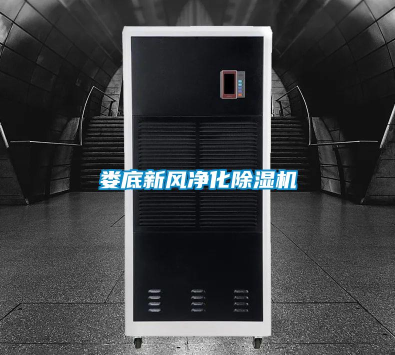 婁底新風凈化除濕機