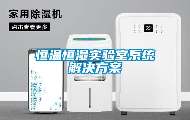 恒溫恒濕實驗室系統(tǒng)解決方案