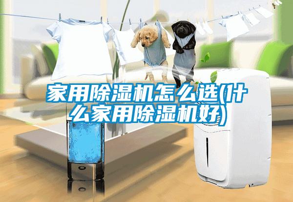 家用除濕機怎么選(什么家用除濕機好)