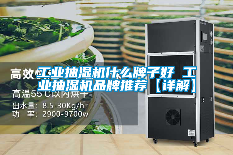 工業抽濕機什么牌子好 工業抽濕機品牌推薦【詳解】