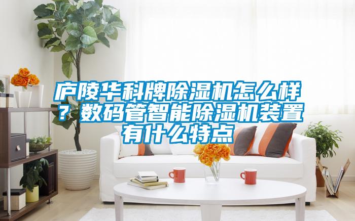 廬陵華科牌除濕機怎么樣？數碼管智能除濕機裝置有什么特點
