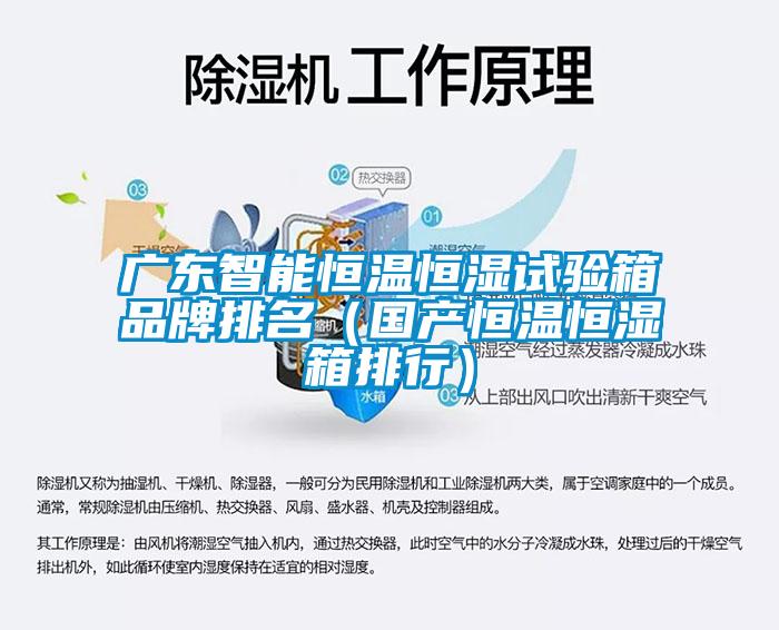 廣東智能恒溫恒濕試驗箱品牌排名（國產恒溫恒濕箱排行）