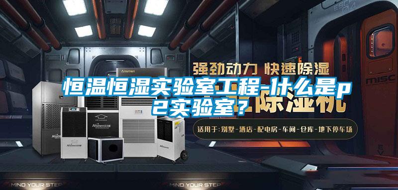 恒溫恒濕實驗室工程-什么是p2實驗室？