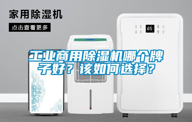 工業(yè)商用除濕機(jī)哪個(gè)牌子好？該如何選擇？