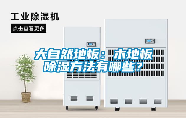 大自然地板：木地板除濕方法有哪些？
