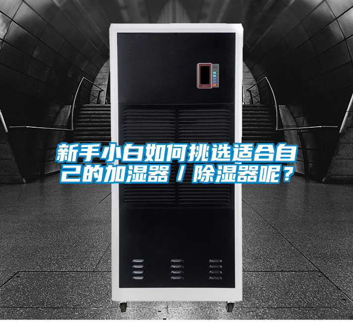 新手小白如何挑選適合自己的加濕器／除濕器呢？