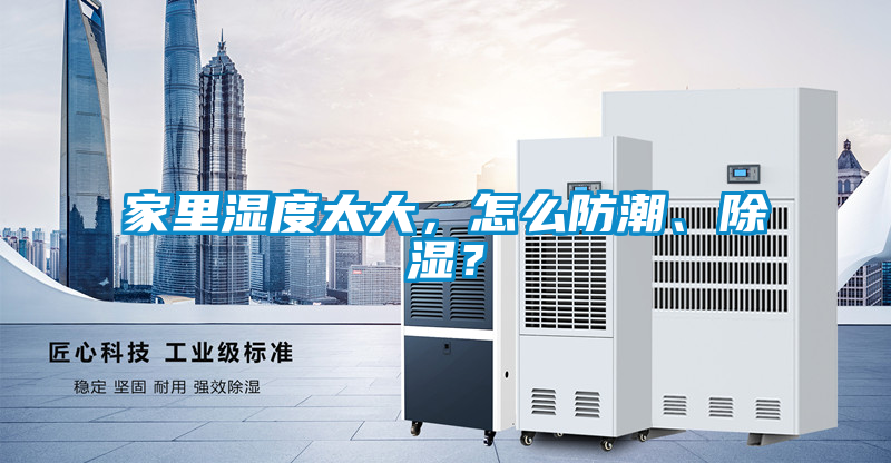 家里濕度太大，怎么防潮、除濕？