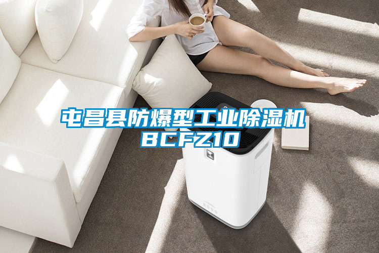 屯昌縣防爆型工業除濕機 BCFZ10