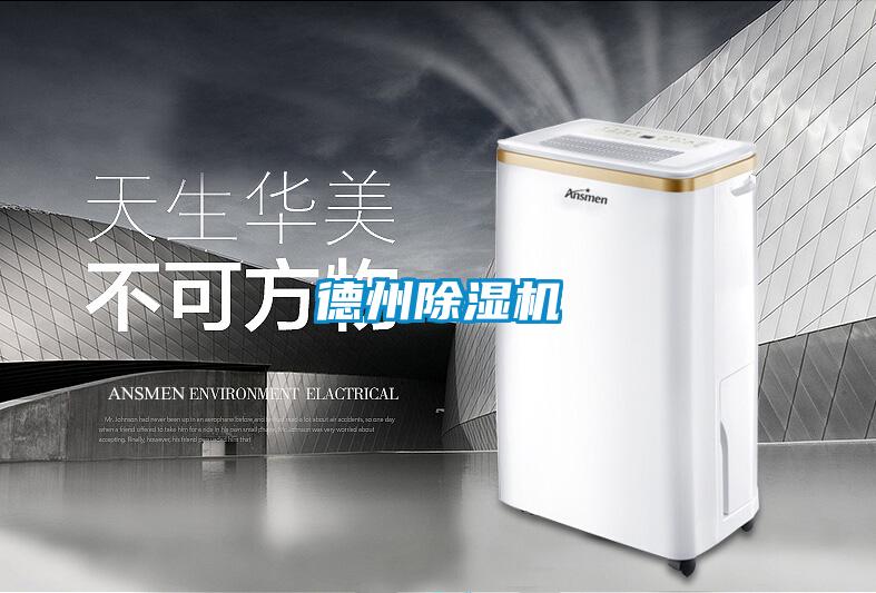 德州除濕機(jī)