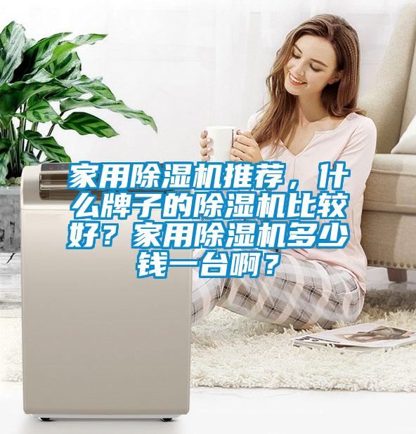 家用除濕機推薦，什么牌子的除濕機比較好？家用除濕機多少錢一臺?。?/></p>
<p style=