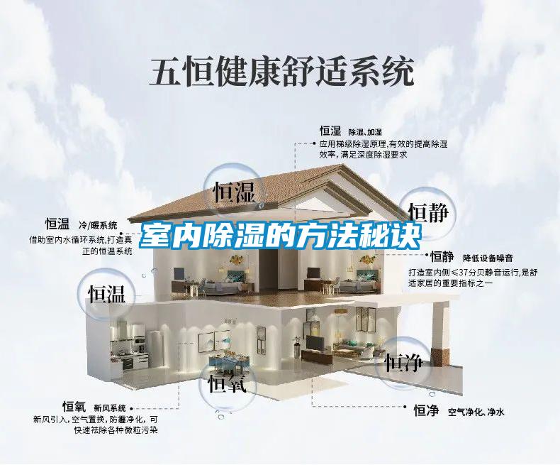 室內除濕的方法秘訣