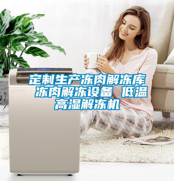 定制生產凍肉解凍庫 凍肉解凍設備 低溫高濕解凍機