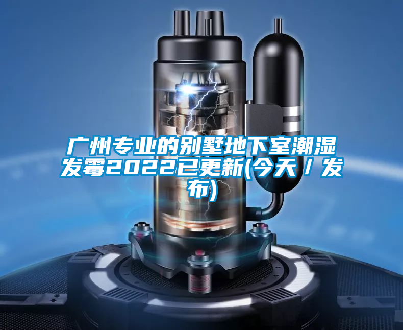 廣州專業的別墅地下室潮濕發霉2022已更新(今天／發布)