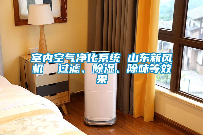室內(nèi)空氣凈化系統(tǒng) 山東新風機  過濾、除濕、除味等效果
