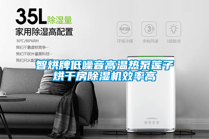 智烘牌低噪音高溫熱泵蓮子烘干房除濕機效率高
