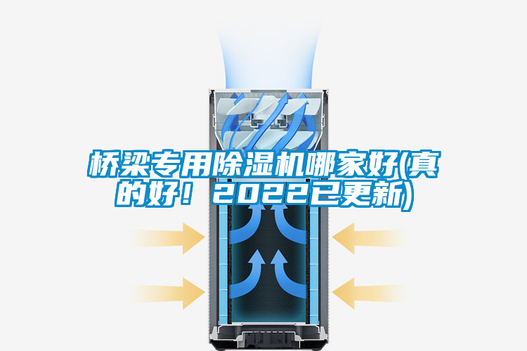 橋梁專用除濕機(jī)哪家好(真的好！2022已更新)