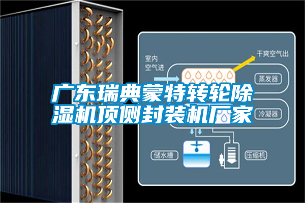 廣東瑞典蒙特轉(zhuǎn)輪除濕機(jī)頂側(cè)封裝機(jī)廠家