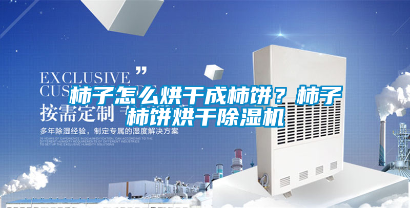 柿子怎么烘干成柿餅？柿子柿餅烘干除濕機(jī)