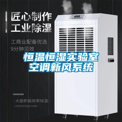 恒溫恒濕實驗室空調新風系統