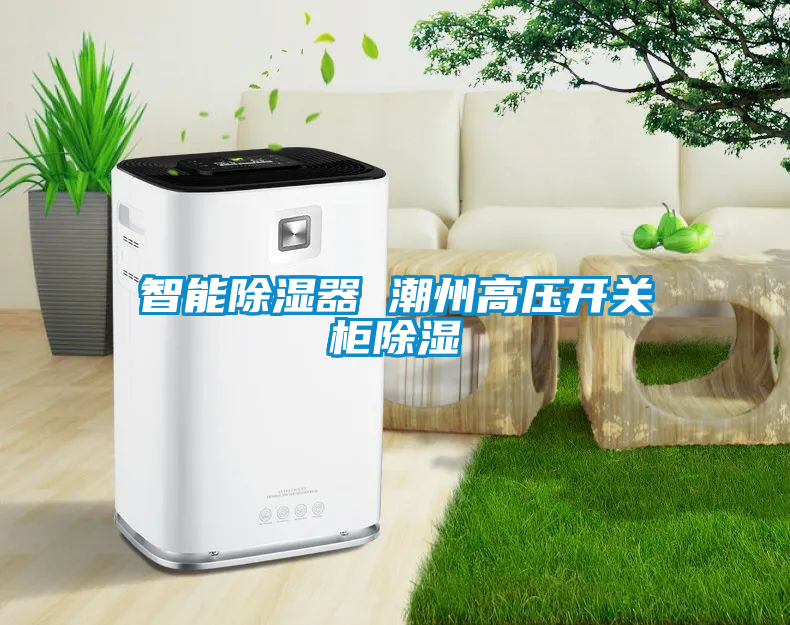 智能除濕器 潮州高壓開關柜除濕