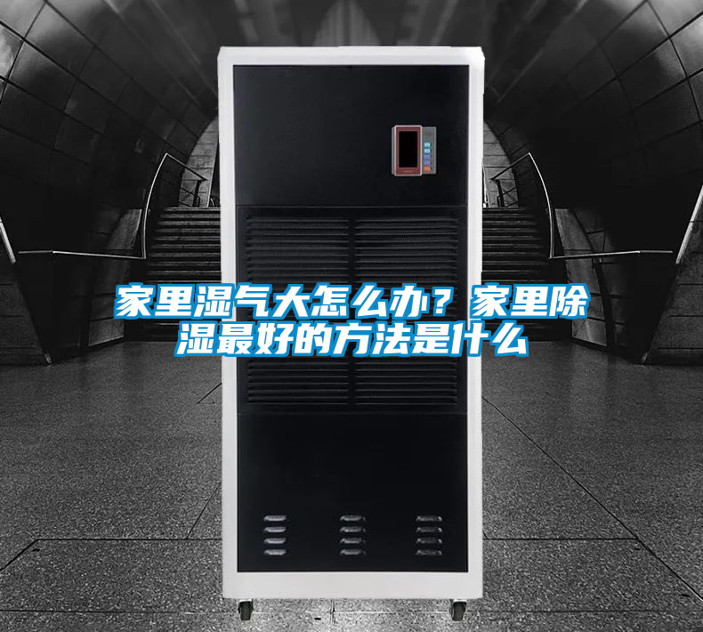 家里濕氣大怎么辦？家里除濕最好的方法是什么