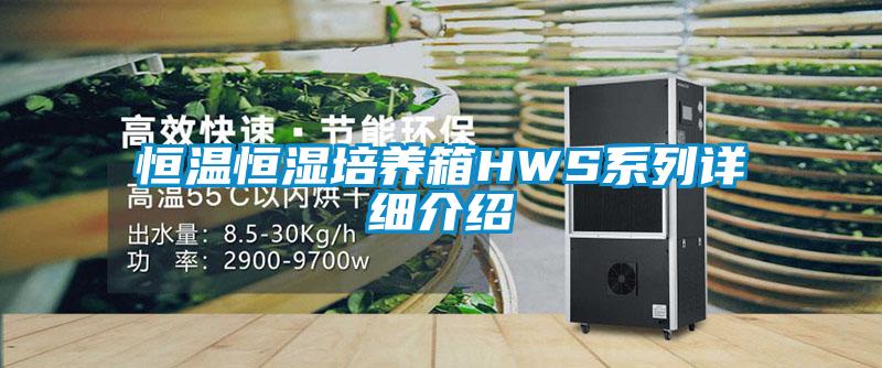恒溫恒濕培養箱HWS系列詳細介紹