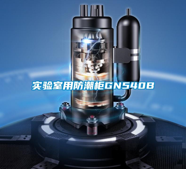 實(shí)驗(yàn)室用防潮柜GN540B