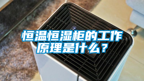 恒溫恒濕柜的工作原理是什么？