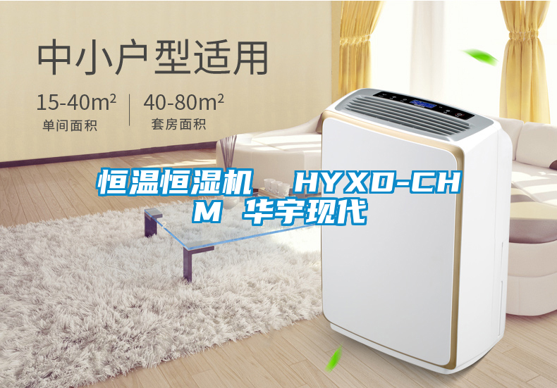恒溫恒濕機(jī)  HYXD-CHM 華宇現(xiàn)代