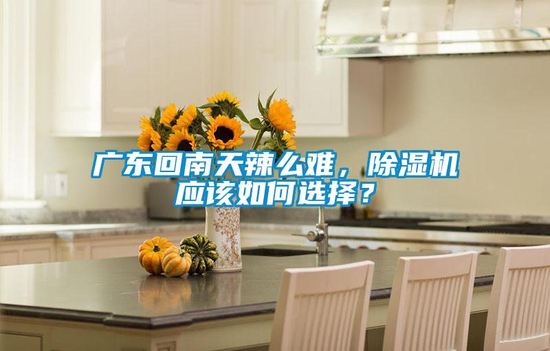 廣東回南天辣么難，除濕機應該如何選擇？