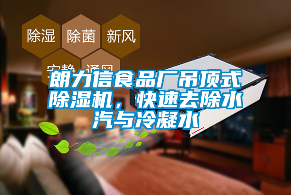 朗力信食品廠吊頂式除濕機，快速去除水汽與冷凝水
