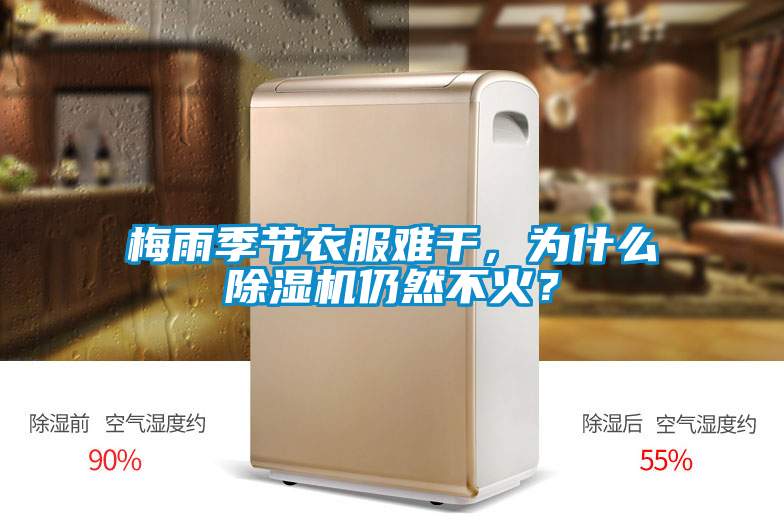 梅雨季節衣服難干，為什么除濕機仍然不火？