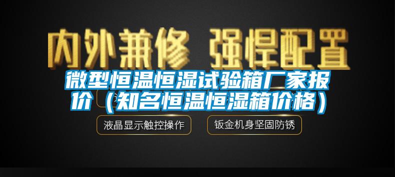 微型恒溫恒濕試驗箱廠家報價（知名恒溫恒濕箱價格）