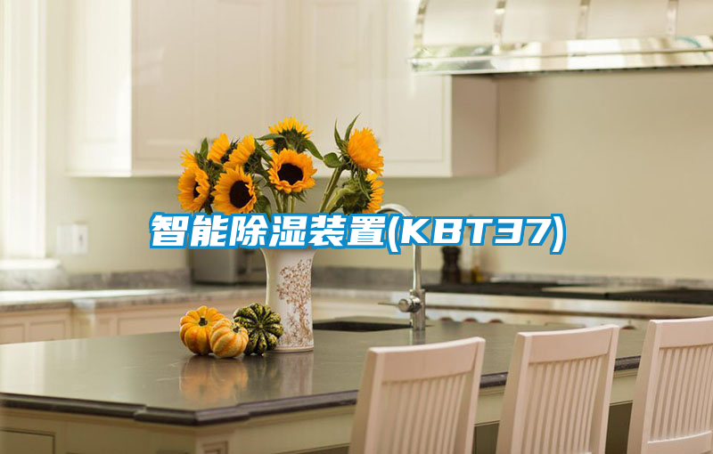 智能除濕裝置(KBT37)