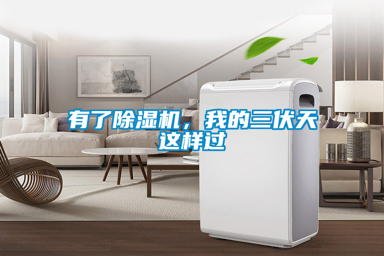 有了除濕機，我的三伏天這樣過