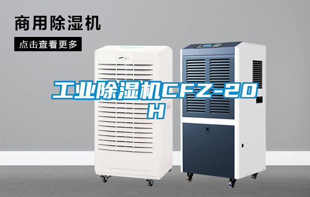 工業(yè)除濕機(jī)CFZ-20H