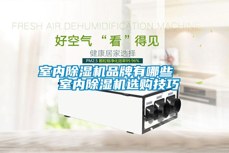 室內(nèi)除濕機(jī)品牌有哪些   室內(nèi)除濕機(jī)選購(gòu)技巧