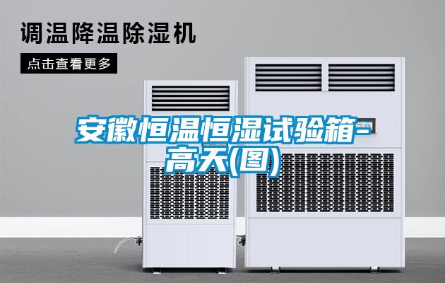安徽恒溫恒濕試驗箱-高天(圖)