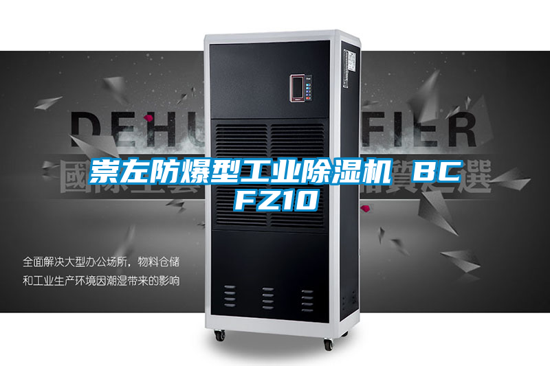 崇左防爆型工業除濕機 BCFZ10