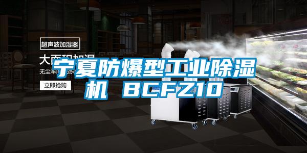 寧夏防爆型工業(yè)除濕機 BCFZ10