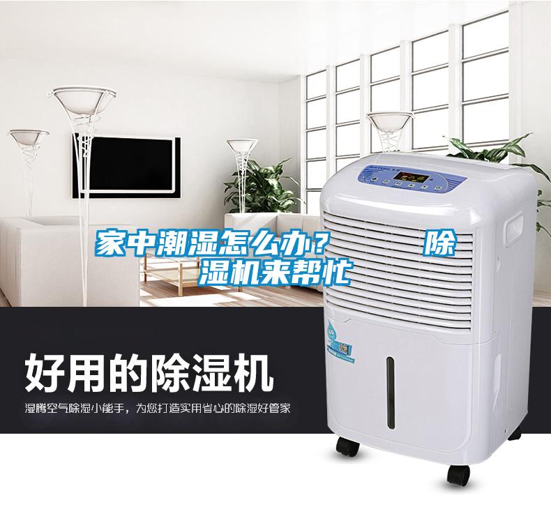 家中潮濕怎么辦？    除濕機來幫忙