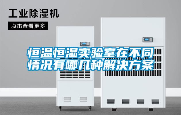 恒溫恒濕實(shí)驗(yàn)室在不同情況有哪幾種解決方案