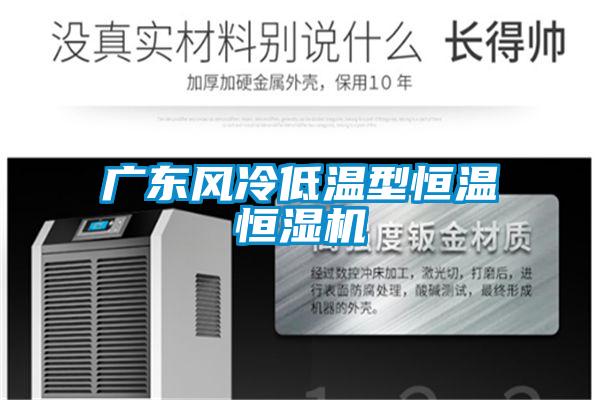 廣東風冷低溫型恒溫恒濕機