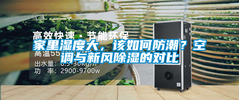 家里濕度大，該如何防潮？空調與新風除濕的對比