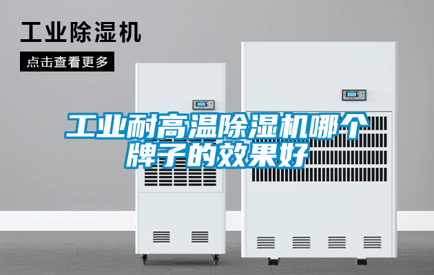 工業(yè)耐高溫除濕機哪個牌子的效果好