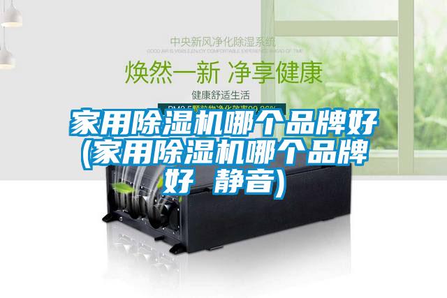 家用除濕機哪個品牌好(家用除濕機哪個品牌好 靜音)