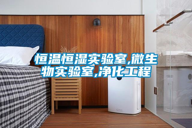 恒溫恒濕實驗室,微生物實驗室,凈化工程