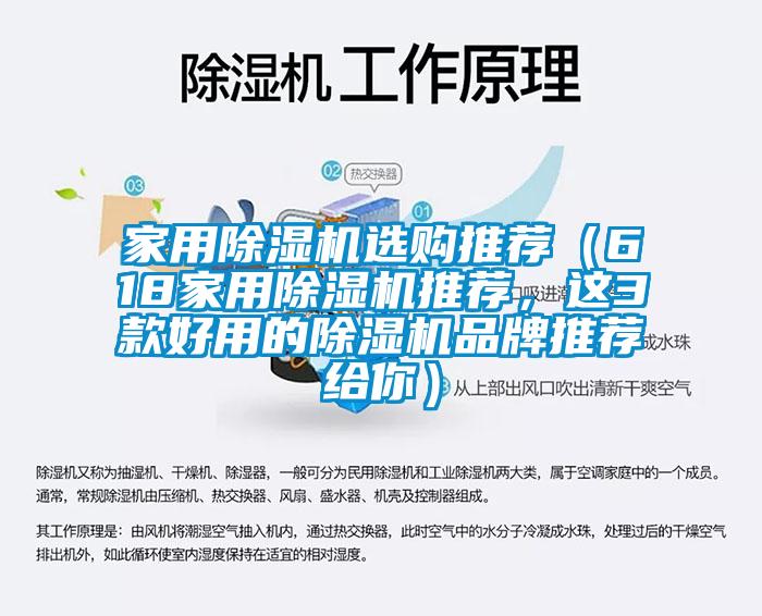 家用除濕機選購推薦（618家用除濕機推薦，這3款好用的除濕機品牌推薦給你）
