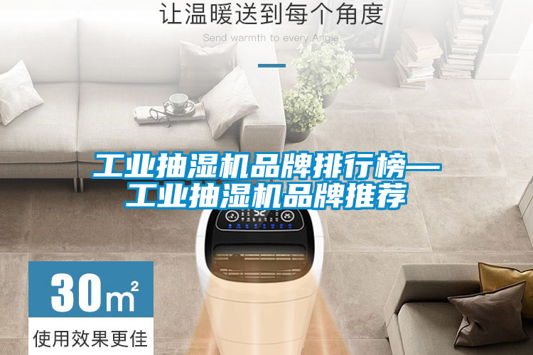 工業(yè)抽濕機品牌排行榜—工業(yè)抽濕機品牌推薦