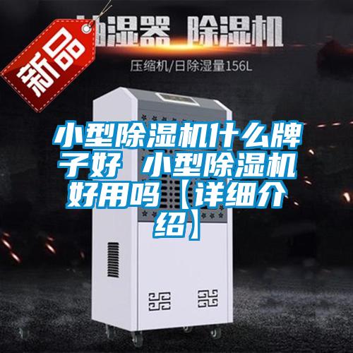 小型除濕機(jī)什么牌子好 小型除濕機(jī)好用嗎【詳細(xì)介紹】